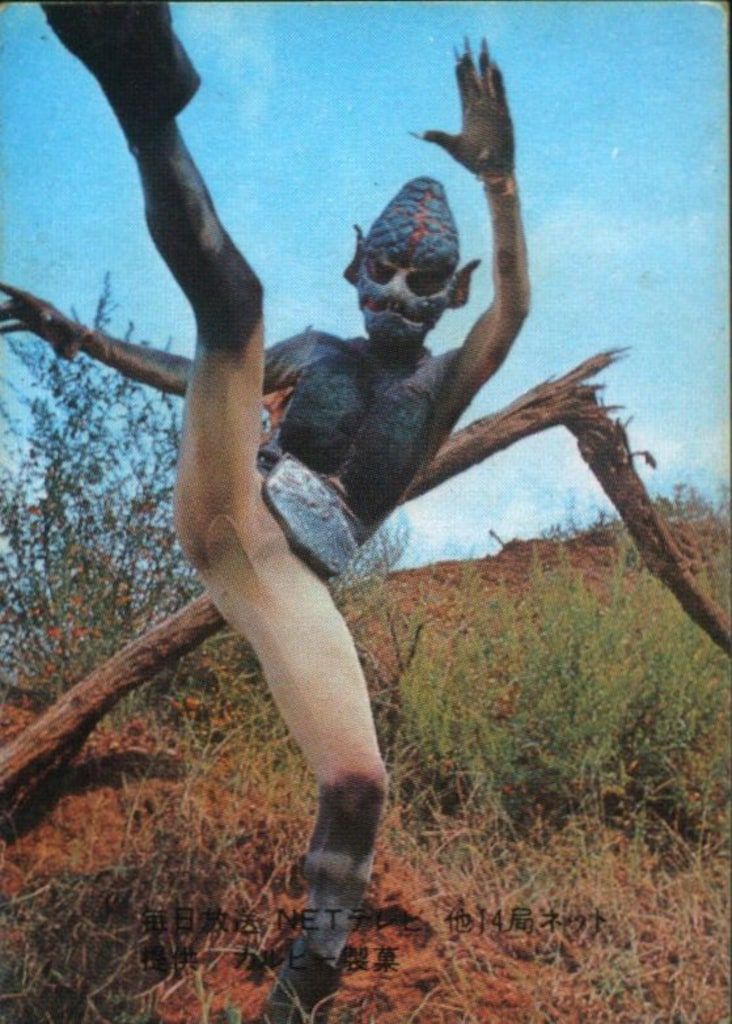 カルビー製菓 【旧仮面ライダーカード】 表14局版 怪鳥怪人