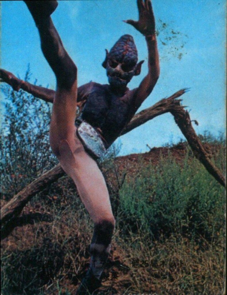 カルビー製菓 【旧仮面ライダーカード】 表25局版 怪鳥怪人