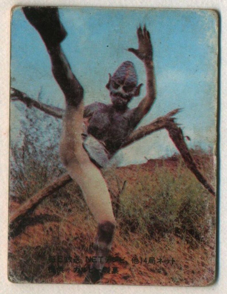 カルビー製菓 【旧仮面ライダーカード】 表14局版 怪鳥怪人