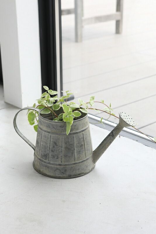 フラワーポット ジョーロポットカバー アンティーク風 コベント