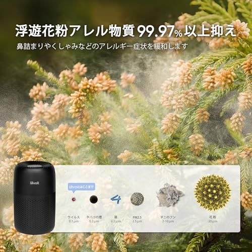  Levoit レボイト 空気清浄機 小型モデル 12畳 卓上 軽量 アロマ対応 脱臭 Core Mini ブラック 9 aeabcb その他 キッチン 食器