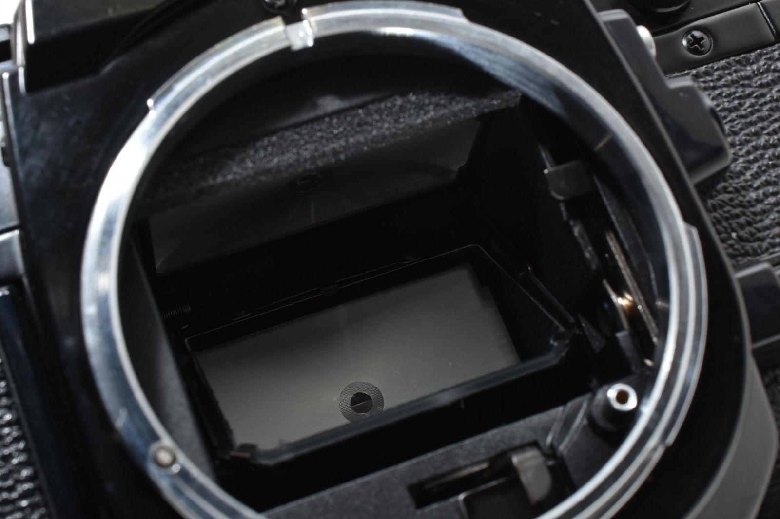 5796 【良品】 Canon Ae-1 Black Slr Film Camera モルト交換済 動作