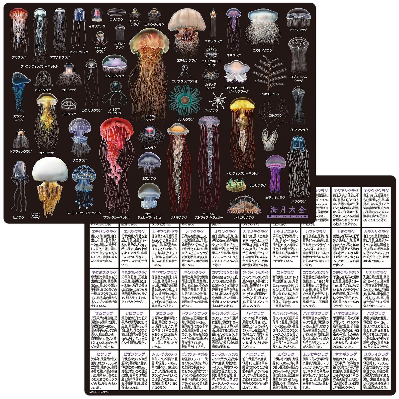 人気商品】水族館 A4 大全 クラゲ 海月 下敷き ザ・アクセス - メルカリ