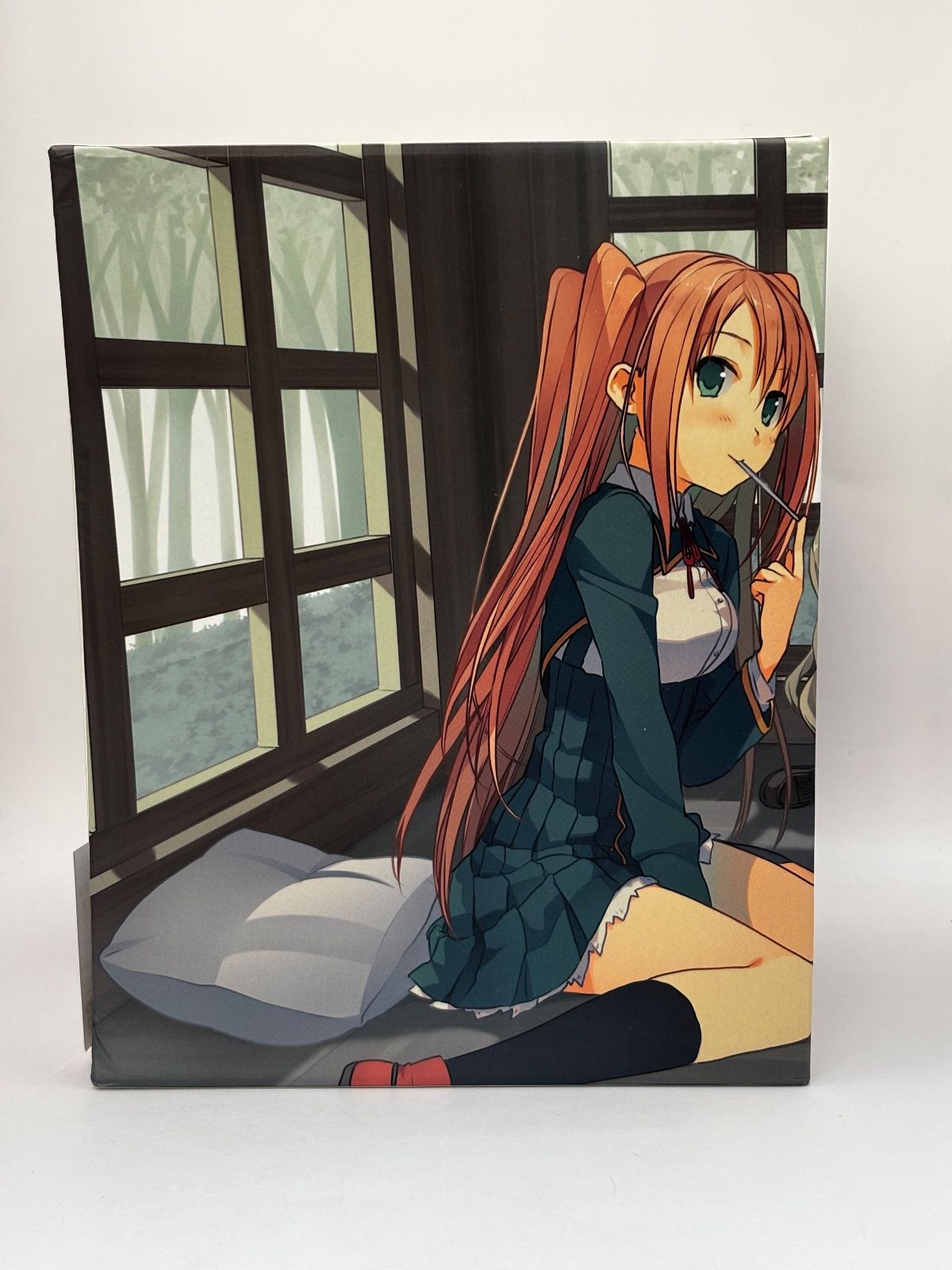 恋と選挙とチョコレート DVDBOX 4 5 6 7 完全生産 版