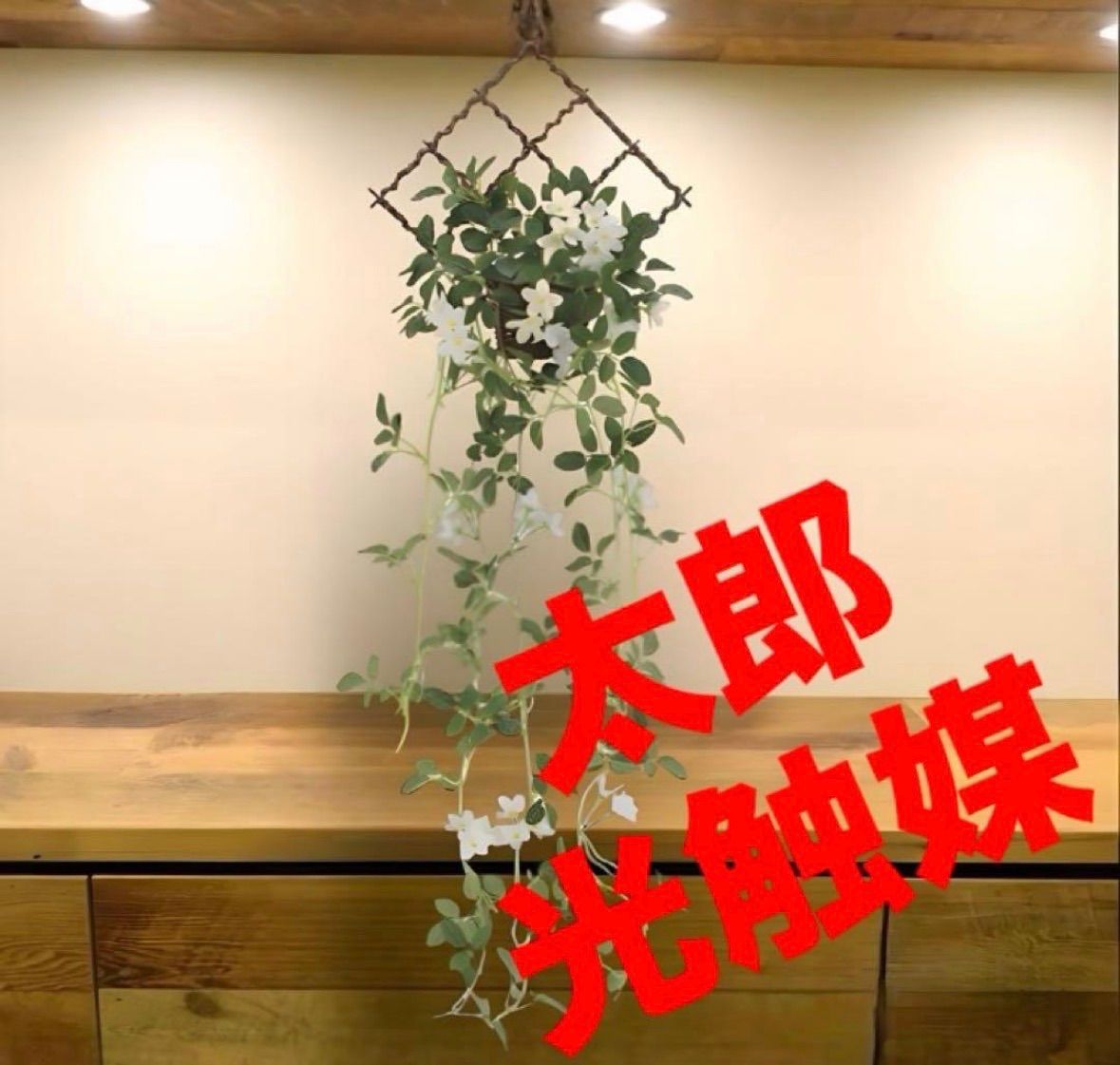 光触媒　人工観葉植物　ウォールグリーン　フェイクグリーン　壁掛けブロッサム 光触媒 光の楽園 壁掛けブロッサム : 光の楽園公式ショップYahoo!店