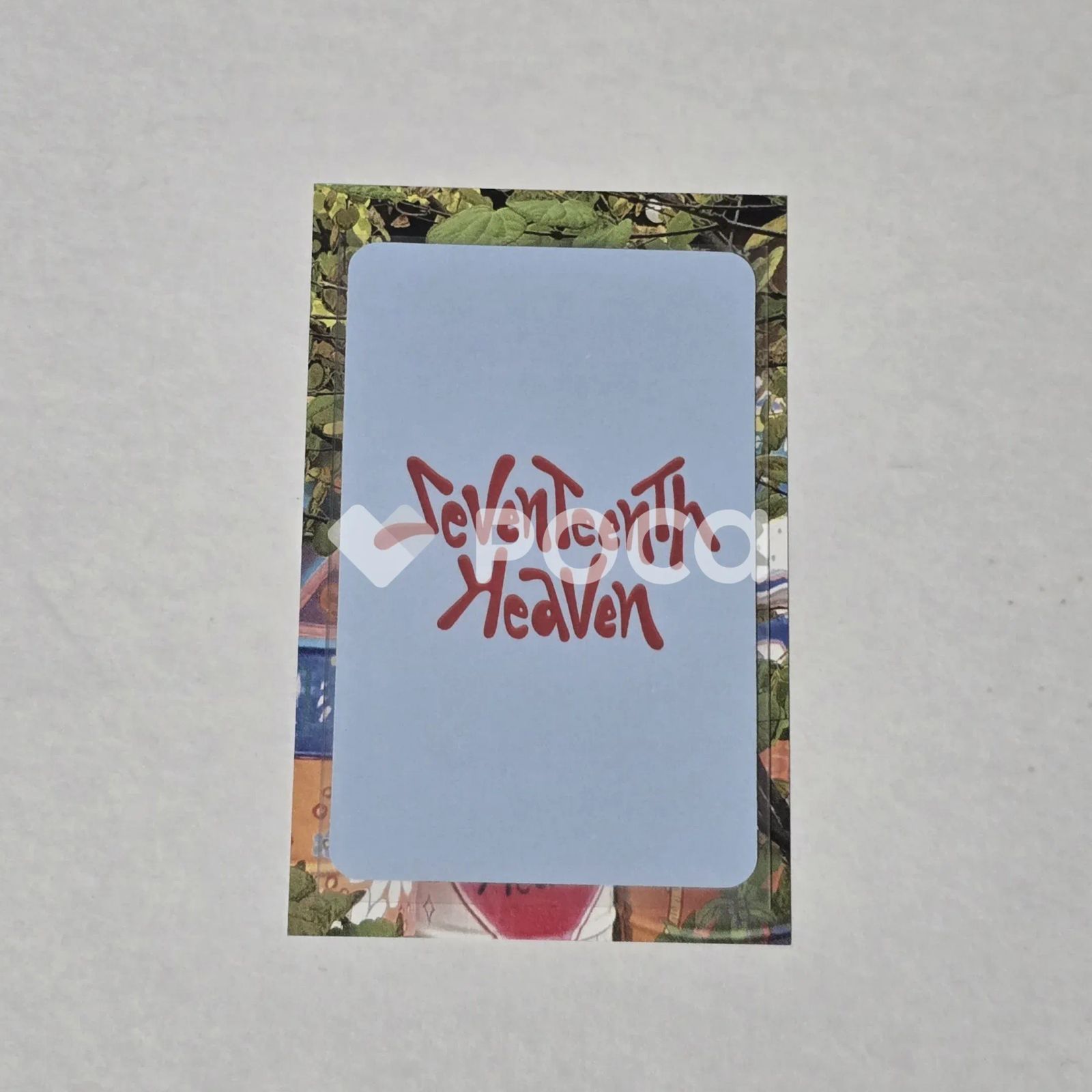 Seventeen ドギョム セブチ SEVENTEENTH HEAVEN Carat Ver. SPONGE