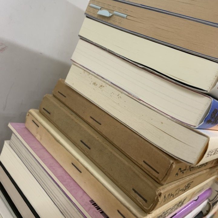 □01)【1点限り!】社会・政治関連本 まとめ売り約30冊大量セット/都市