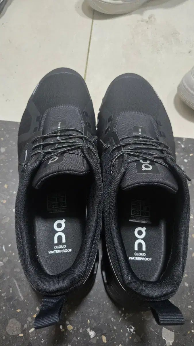 オンラニング クラウド6 wp us 9 5