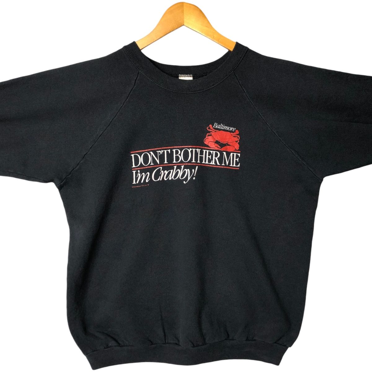 古着 90年代 フルーツオブザルーム FRUIT OF THE LOOM プリント 