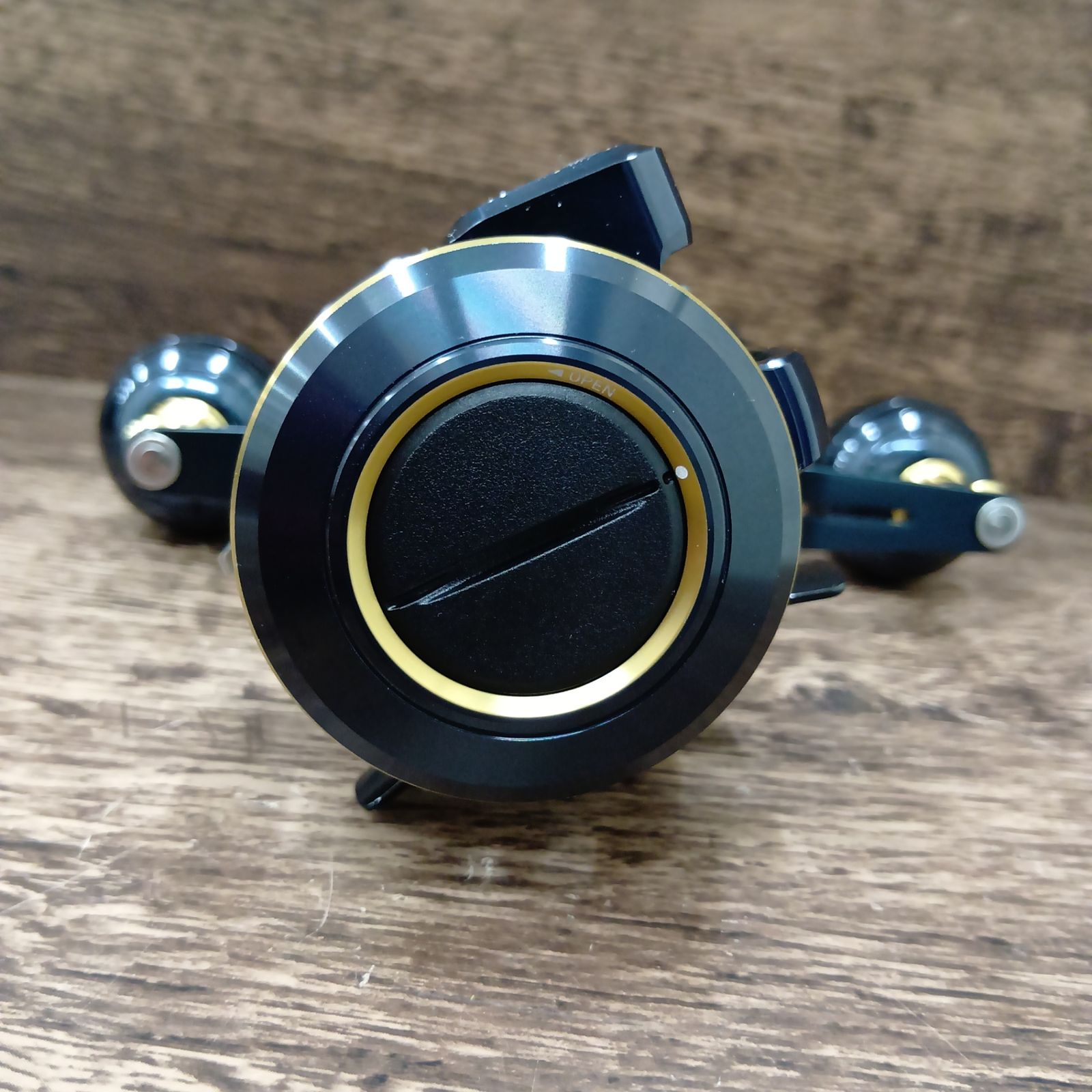 ダイワ DAIWA 21 ソルティガ IC 100 HL-DH 両軸リール