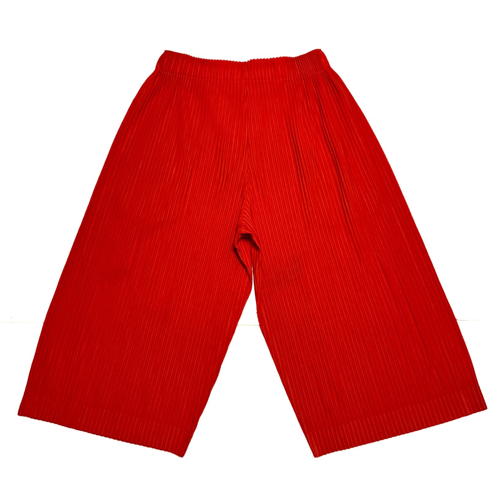 希少【homme plisse issey miyake オムプリッセ イッセイミヤケ 【商品