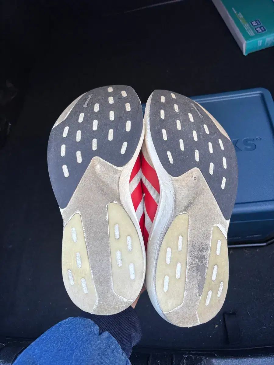 SL オフホワイト