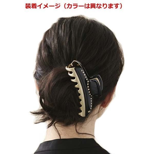 新品】アレクサンドル ドゥ パリ タイムレス ヘアクリップ ヴァン