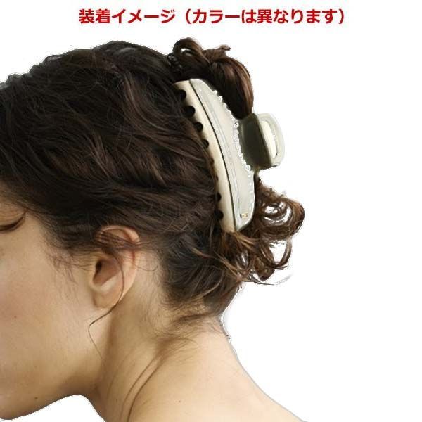 新品】アレクサンドル ドゥ パリ タイムレス ヘアクリップ ヴァン