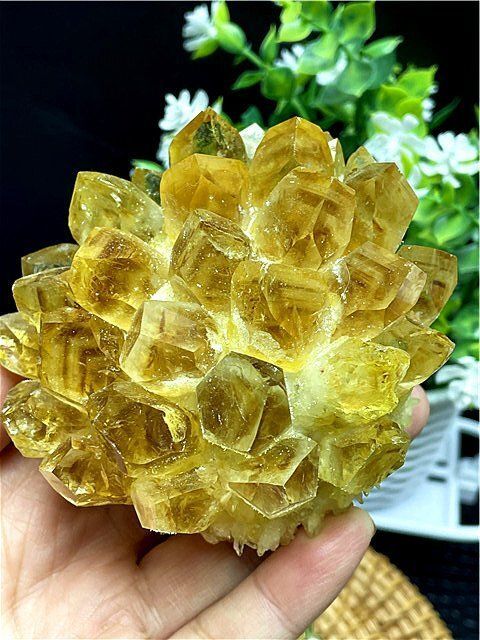 水晶クラスター 超綺麗☆パイナップル水晶クラスターB89D6/104D18D - メルカリ