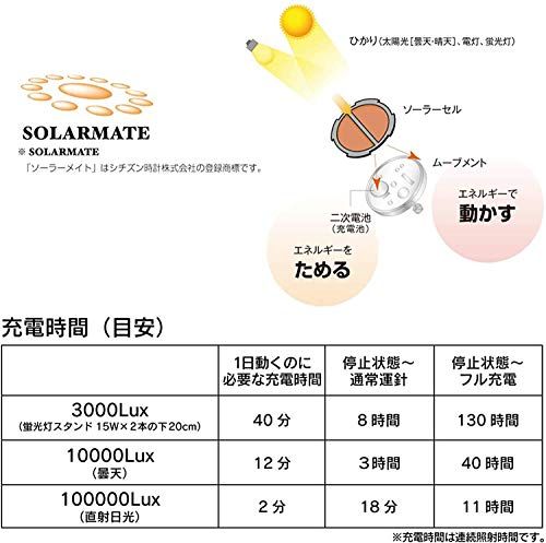 ウレタンベルト