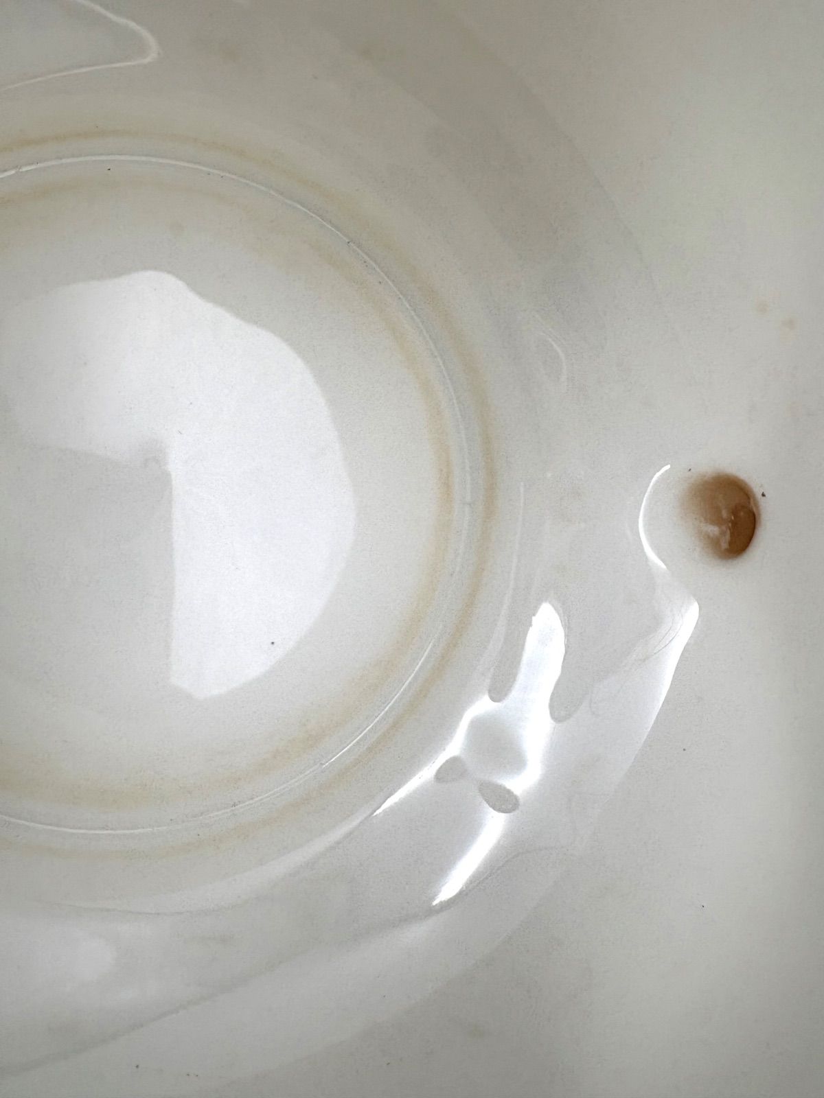 フロレンティーン ターコイズ