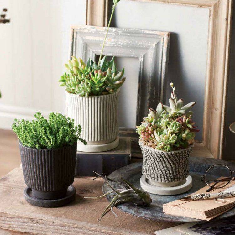 新品 植木鉢 おしゃれ アンティーク ラインポット UN479-105 3.5号