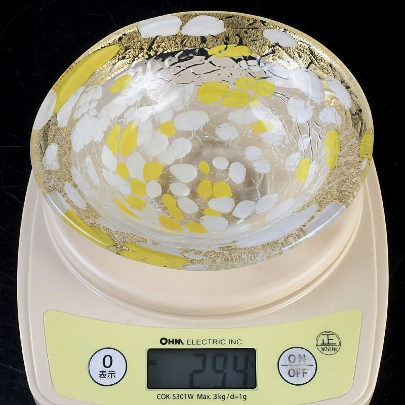 ガラス工芸 ギヤマンガラス 大川薫作 玻璃小鉢 平茶碗 箱付 C S614