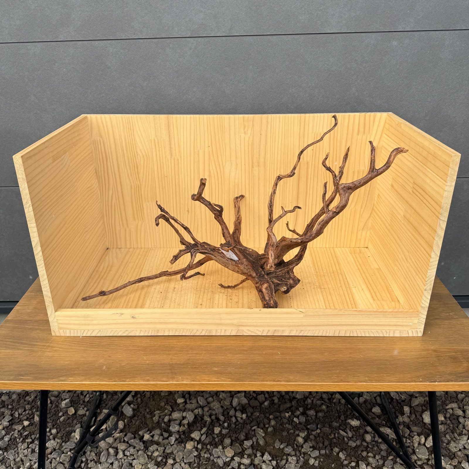 セレクト流木（現物発送）012202 - メルカリ