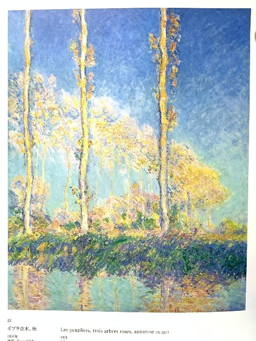 図録 MONET モネ展 1994年 中日新聞社 - メルカリ