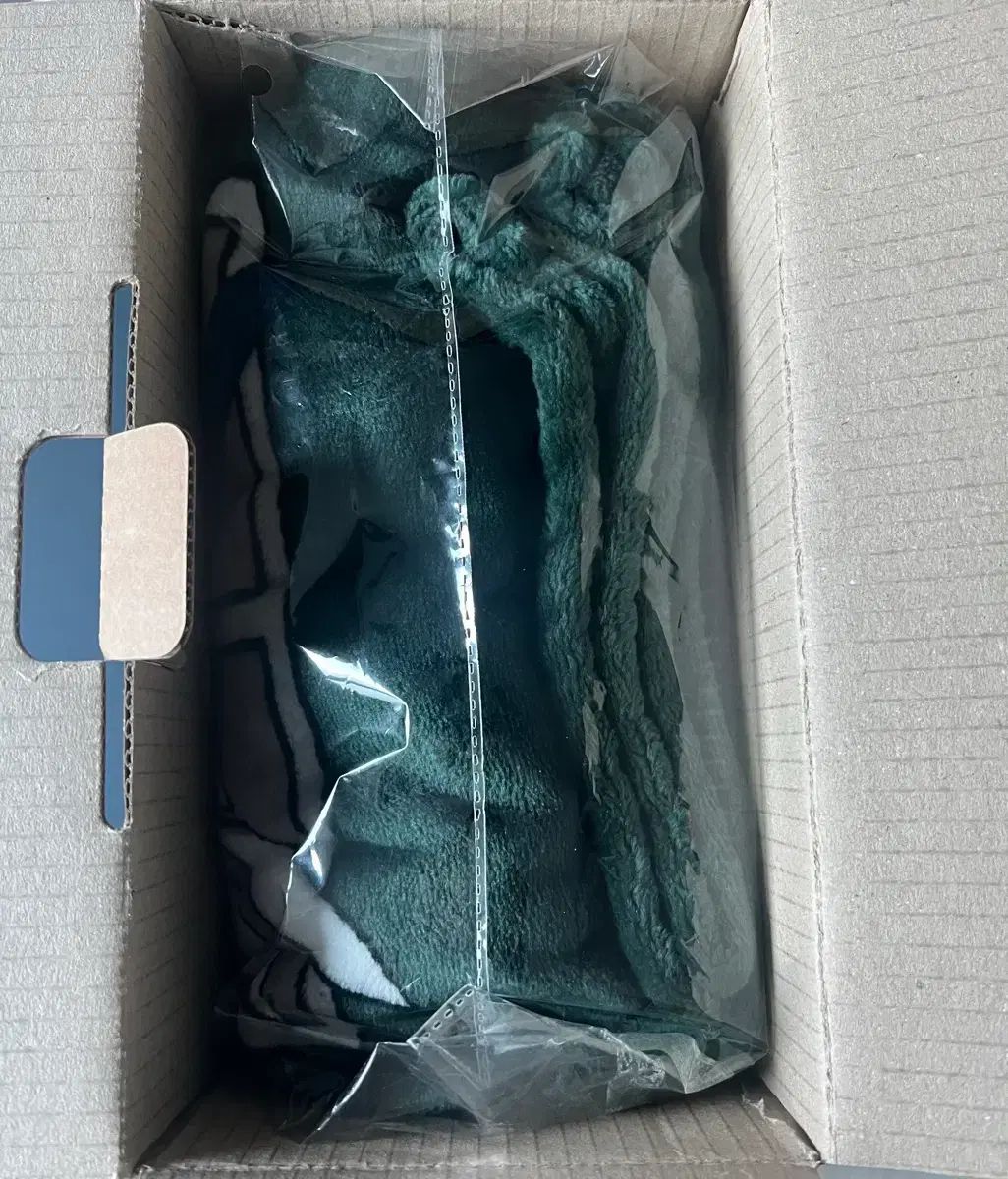 進撃の巨人 ケープ