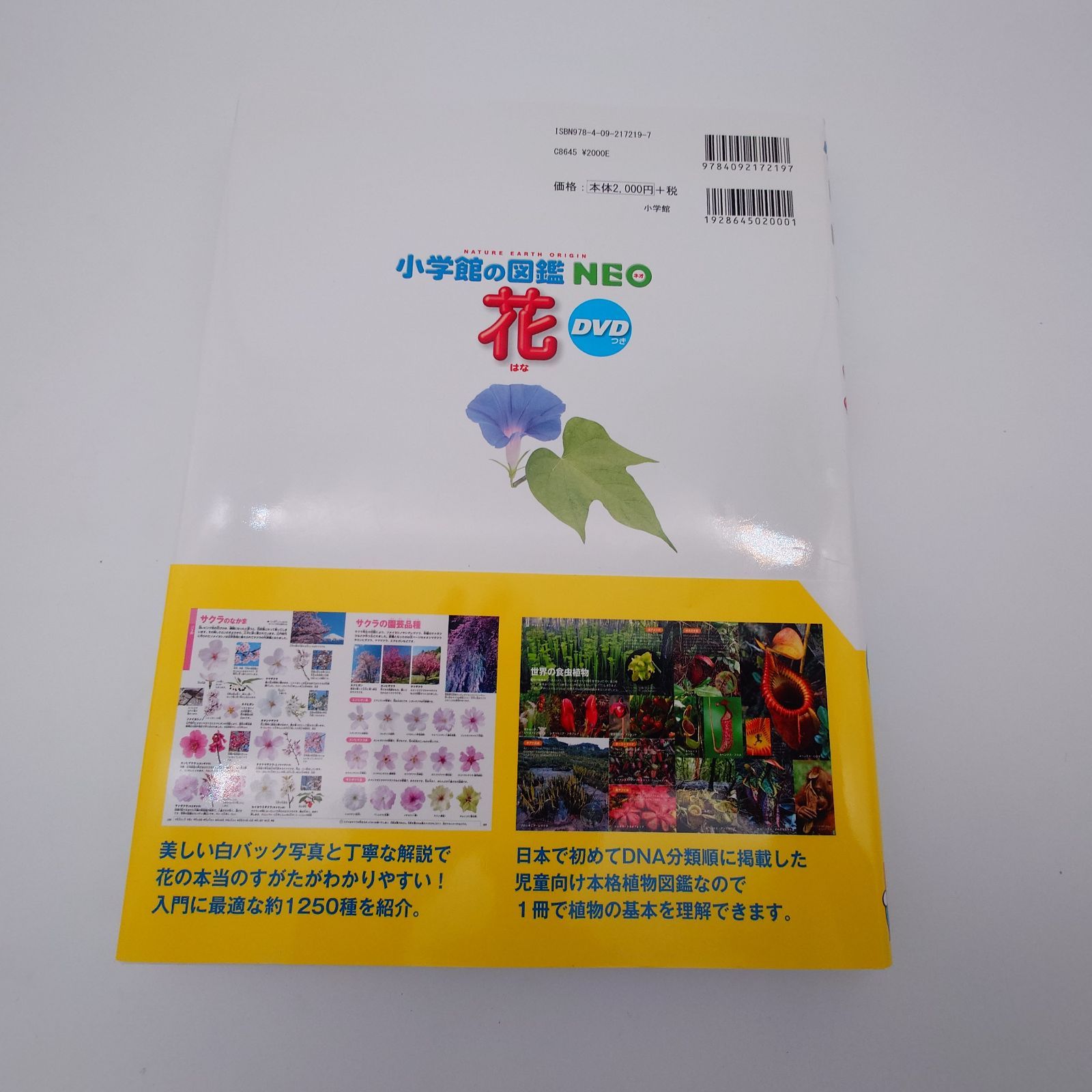 7 小学館の図鑑NEO 花 多田 多恵子 小学館 中古本 - メルカリ