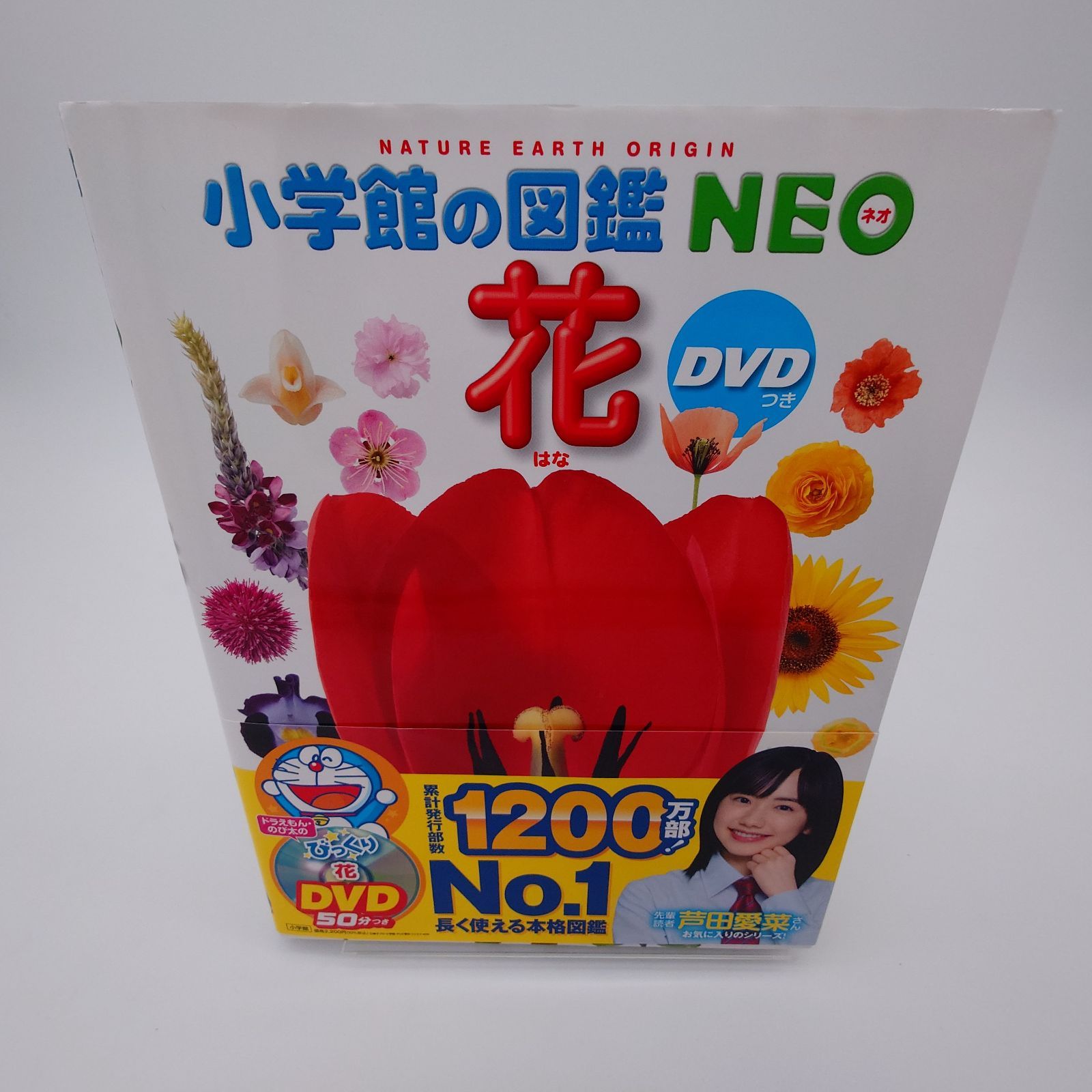 7 小学館の図鑑NEO 花 多田 多恵子 小学館 中古本 - メルカリ