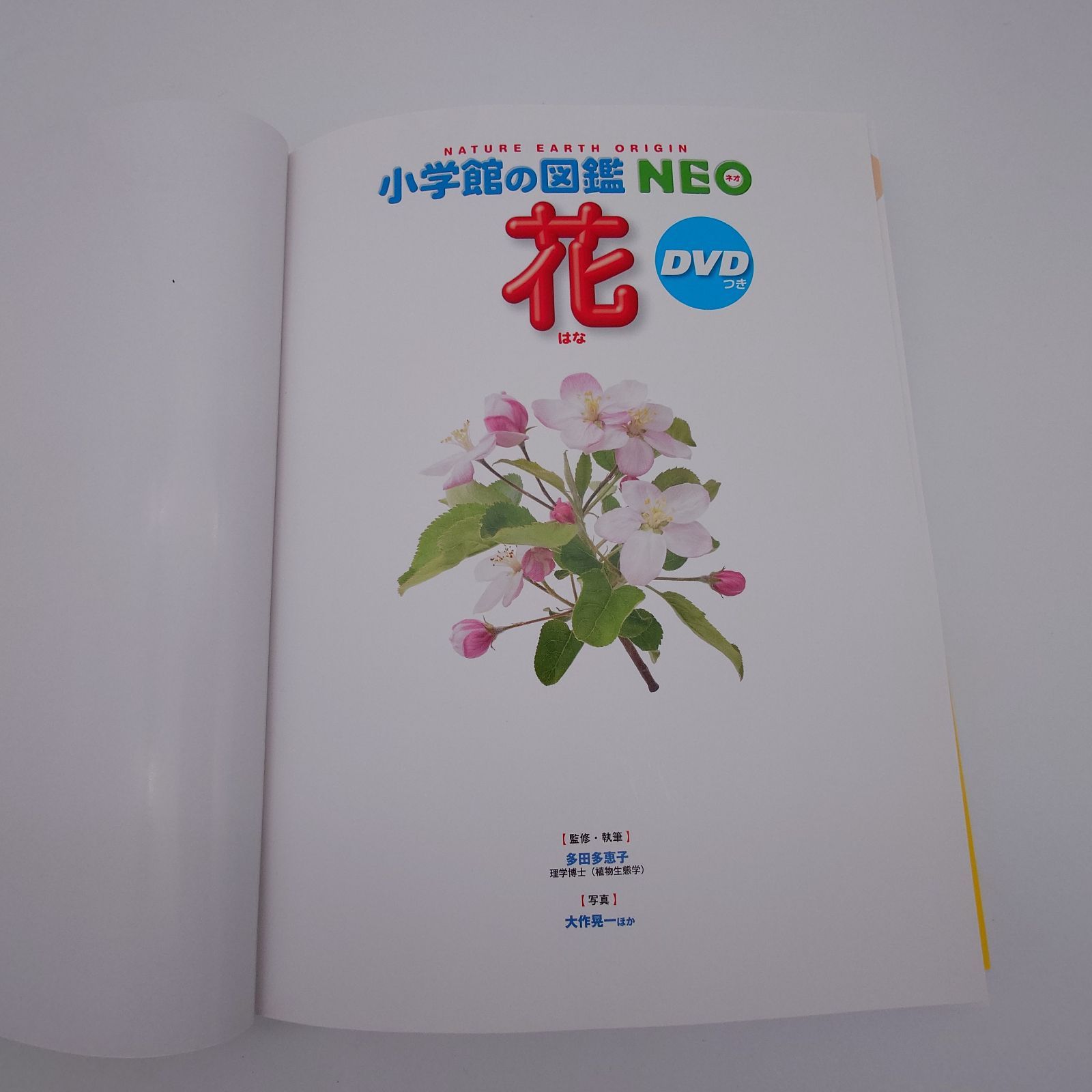 7 小学館の図鑑NEO 花 多田 多恵子 小学館 中古本 - メルカリ