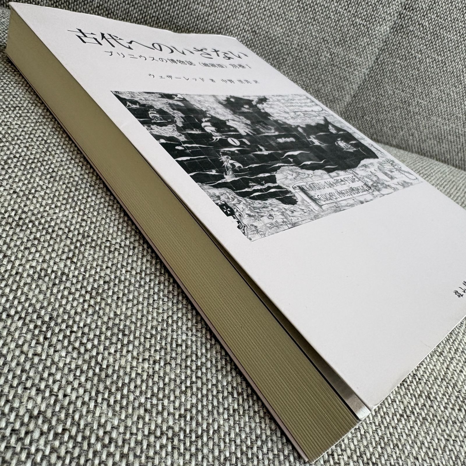 プリニウスの博物誌〈縮刷版〉別巻Ⅰ 古代へのいざない - メルカリ