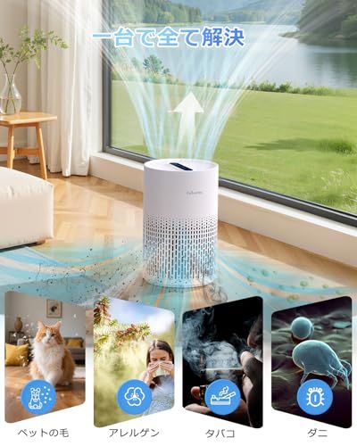 送料無料】【2025年進級版】Purivortex 空気清浄機 小型 20畳 集じん