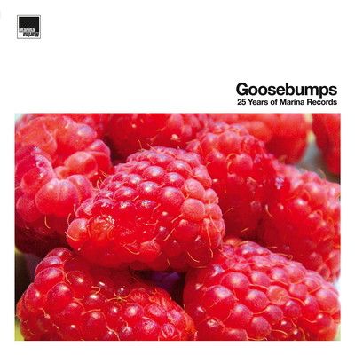 Goosebumps 25 Years Of Marina Records Various Artists