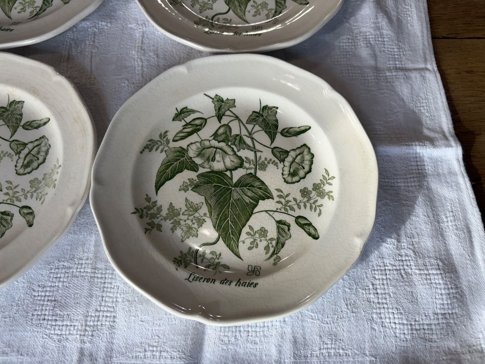  セット フランスアンティーク GIEN ジアンのボタニカルデザートプレート グリーン 907-C 皿 食器