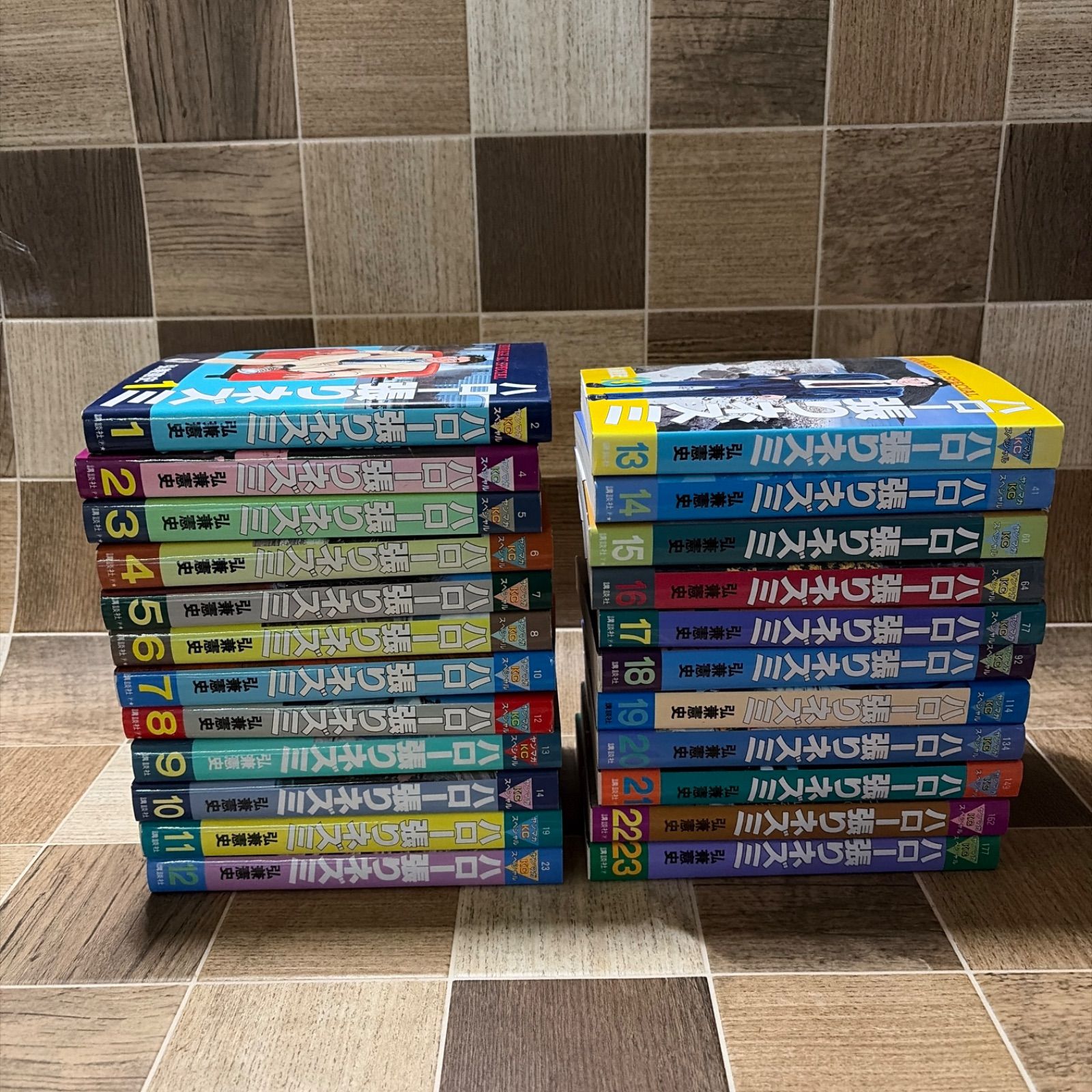 ハロー張りネズミ 弘兼憲史 1-23巻セット 中古品 - メルカリ