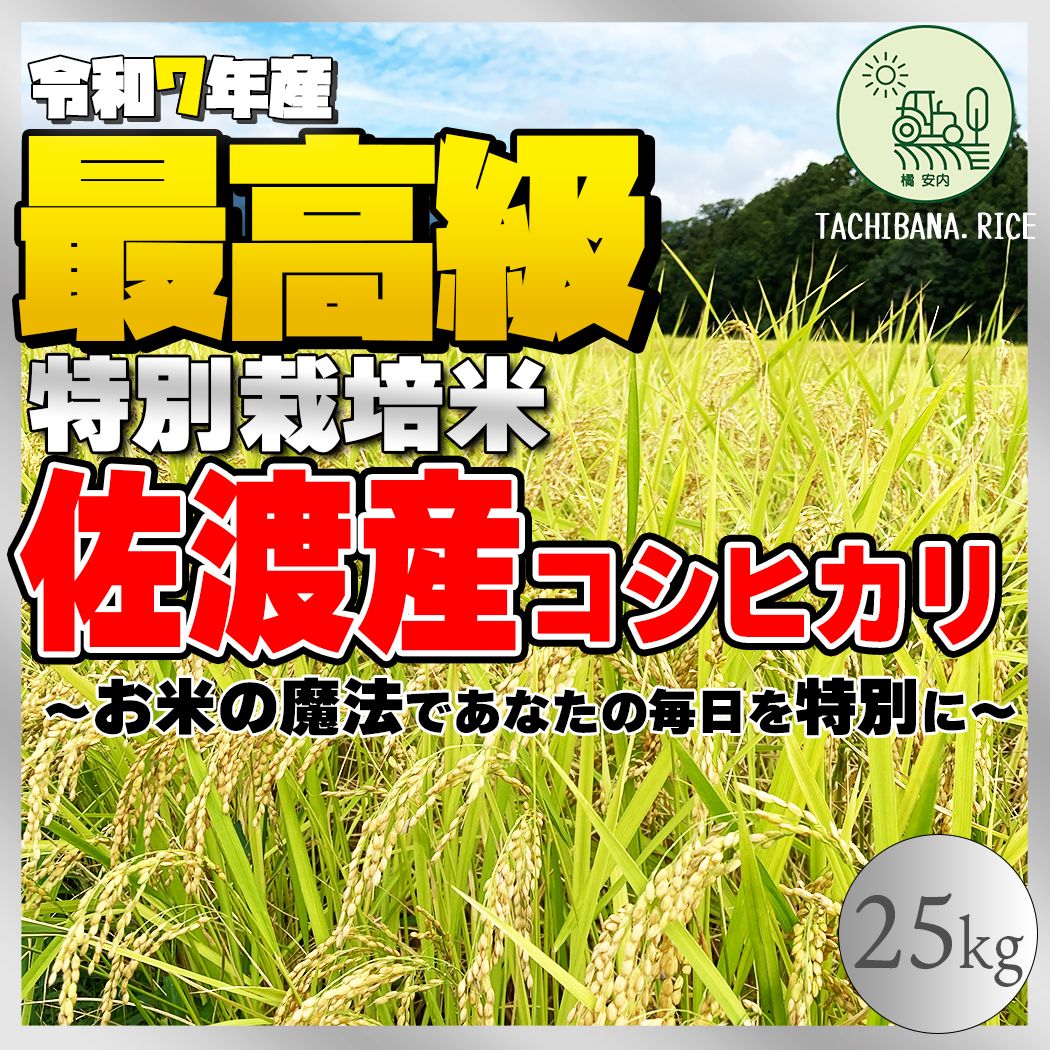 ★極上★【R7年産】佐渡産コシヒカリ ー特別栽培米ー25kg