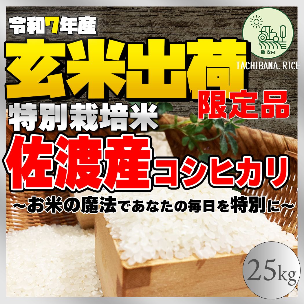 ★極上★【R7年産】佐渡産コシヒカリ ー特別栽培米ー25kg(玄米出荷)