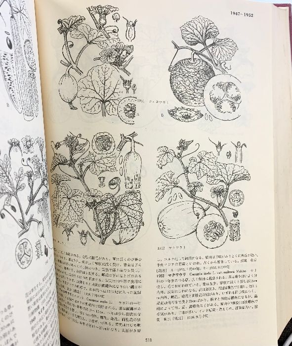 平凡社版 寺崎「日本植物図譜」 HEIBONSHA 平凡社 寺崎留吉：図 奥山