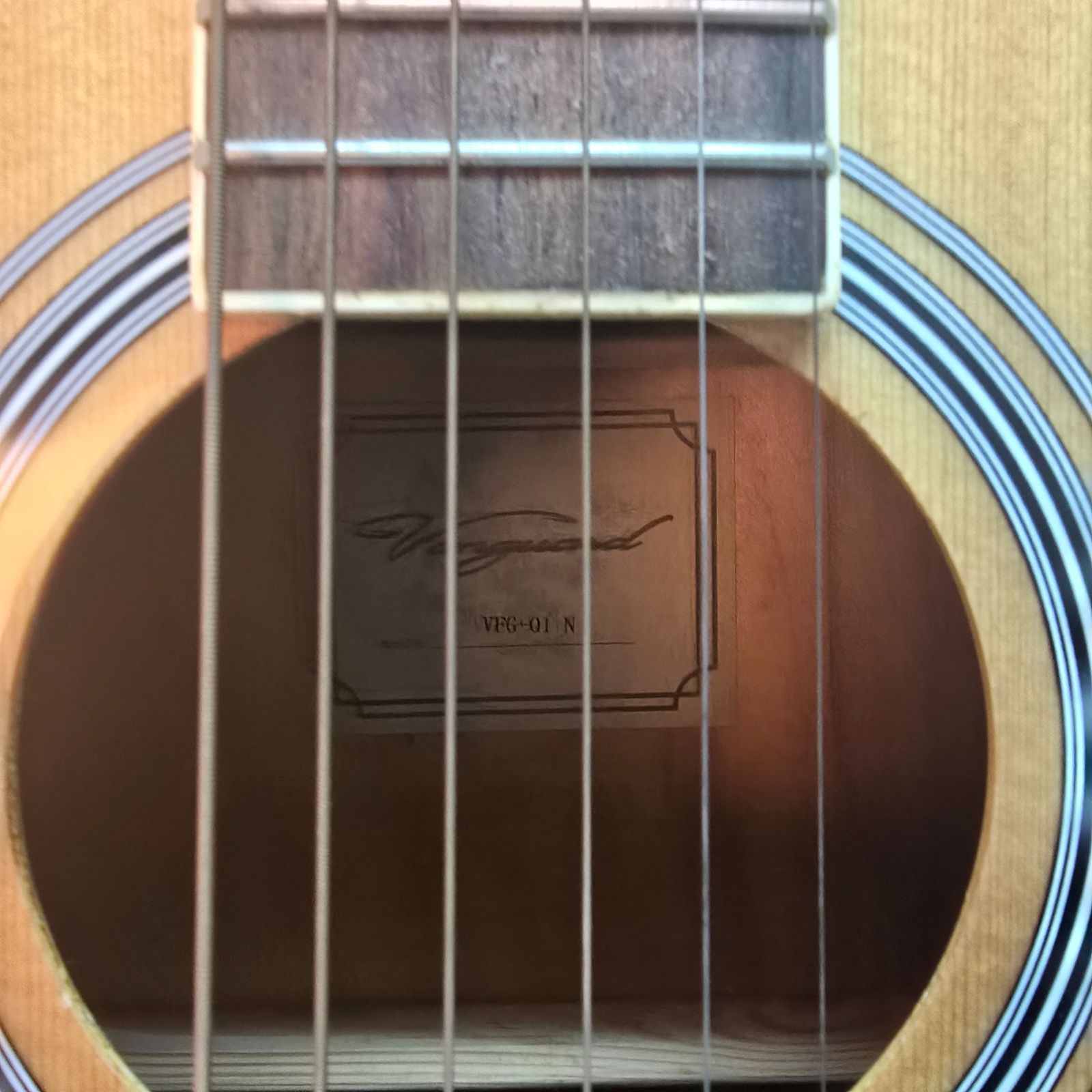 181 Vanguard ヴァンガード アコースティックギター VFG-01 N ケース付