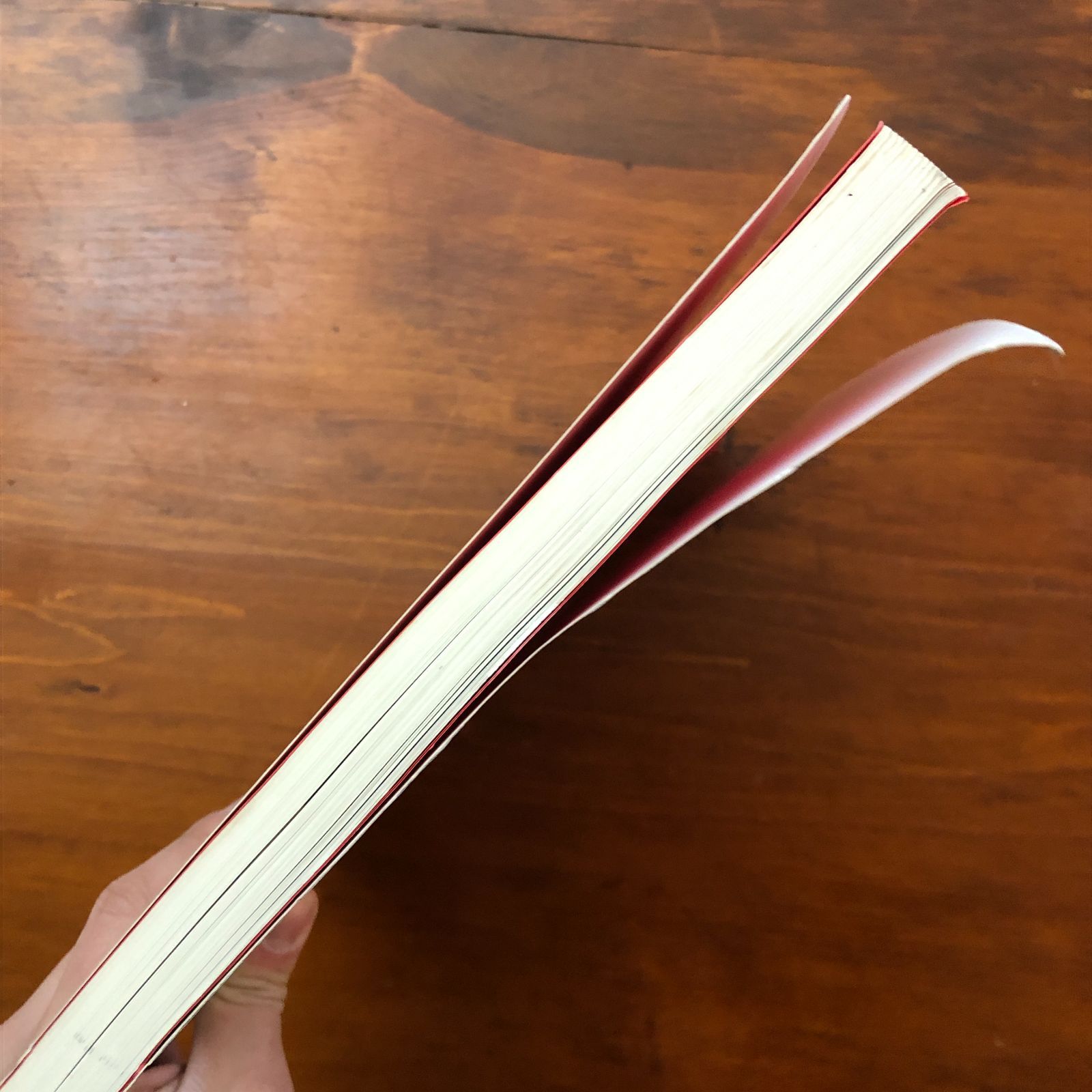 ジャン・コクトー展カタログ 日本経済新聞社 1993年 ☆展覧会図録/画集