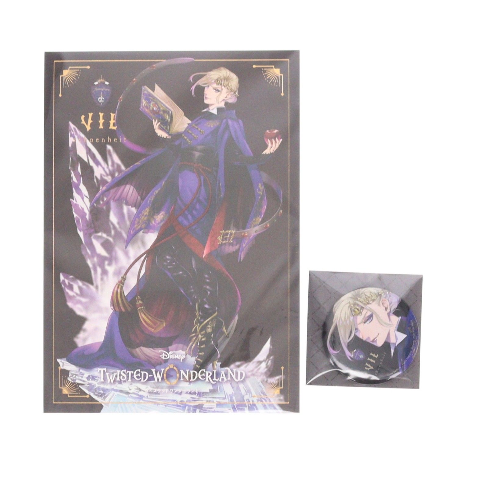 ポストカード&早期予約特典付属 ANIPLEX+限定 ヴィル・シェーンハイト