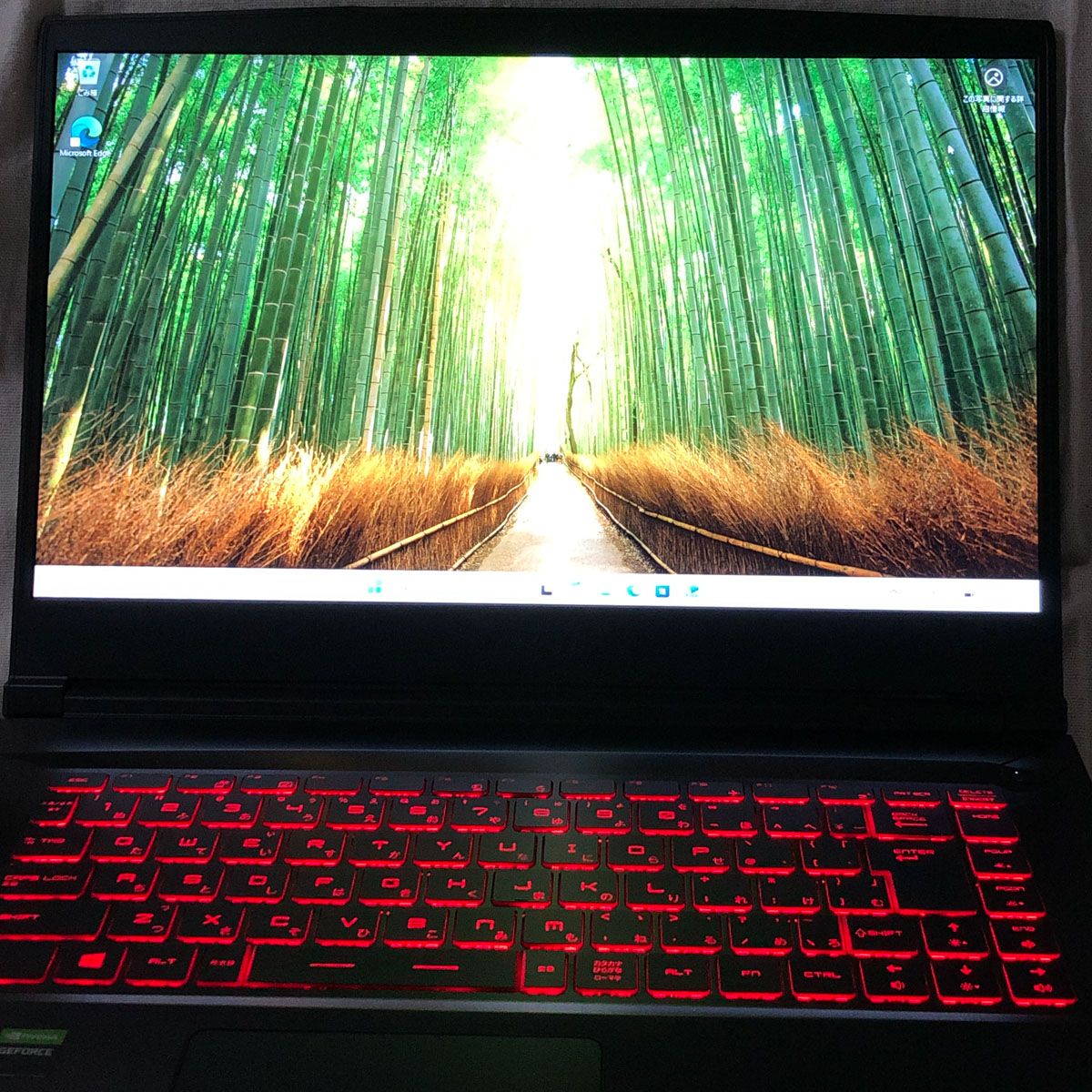 ジャンク】MSI GF65 Thin i7 RTX2060 16GB SSD1TB - メルカリ