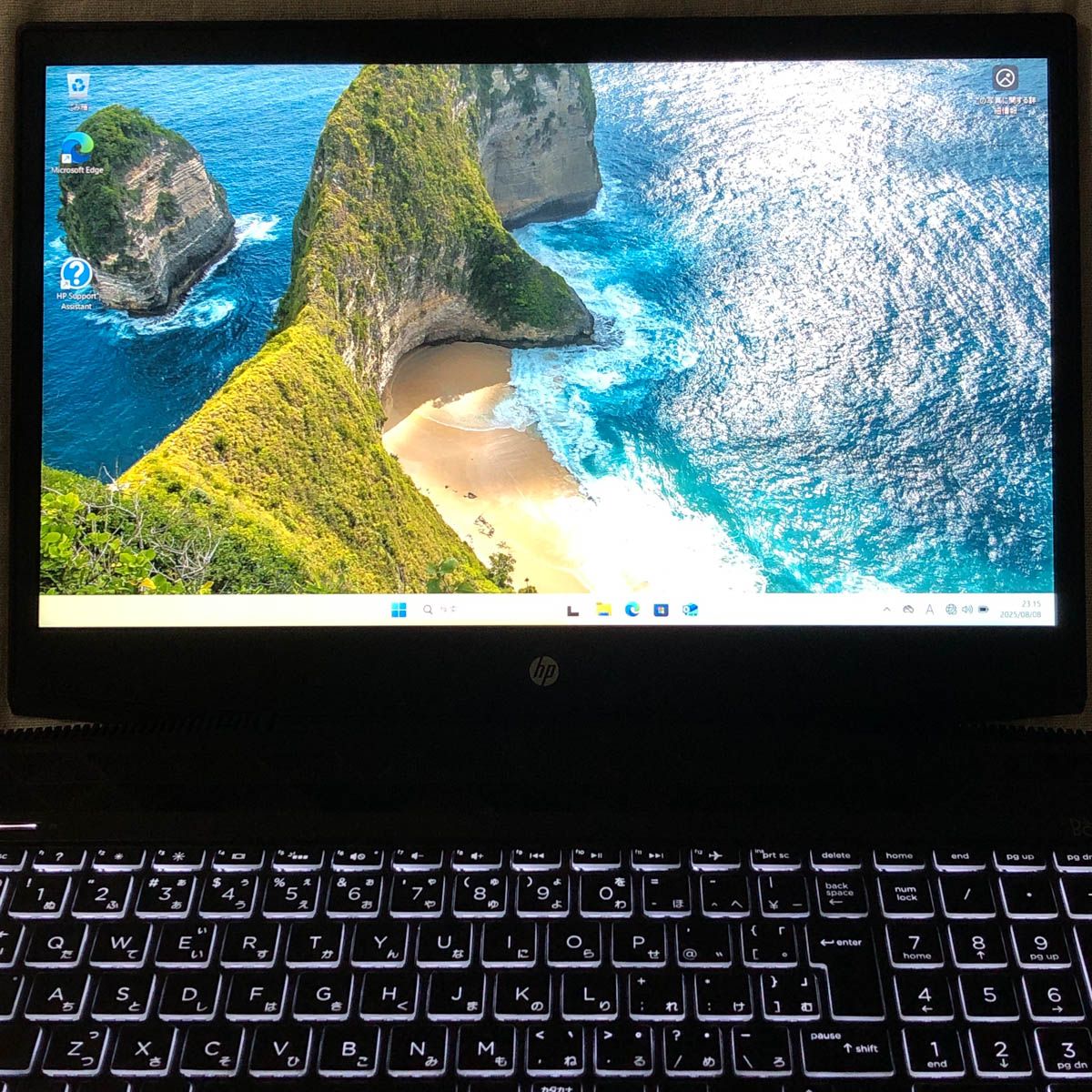 ◇ジャンク品◇ゲーミングPC HP Pavilion Gaming 15-cx0105TX【i7