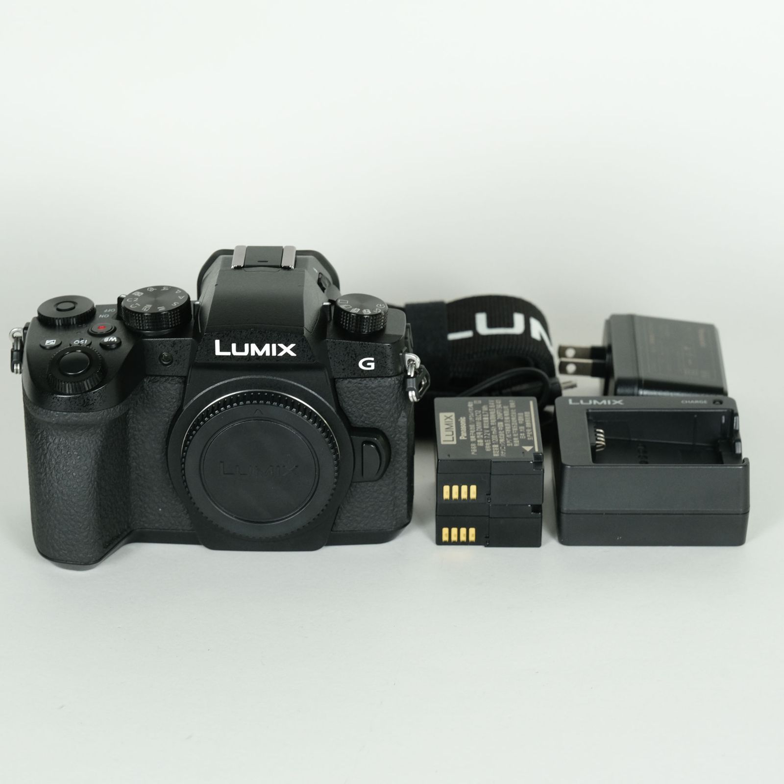 良品 | シャッター数19,897回｜バッテリー2個付] Panasonic LUMIX DC