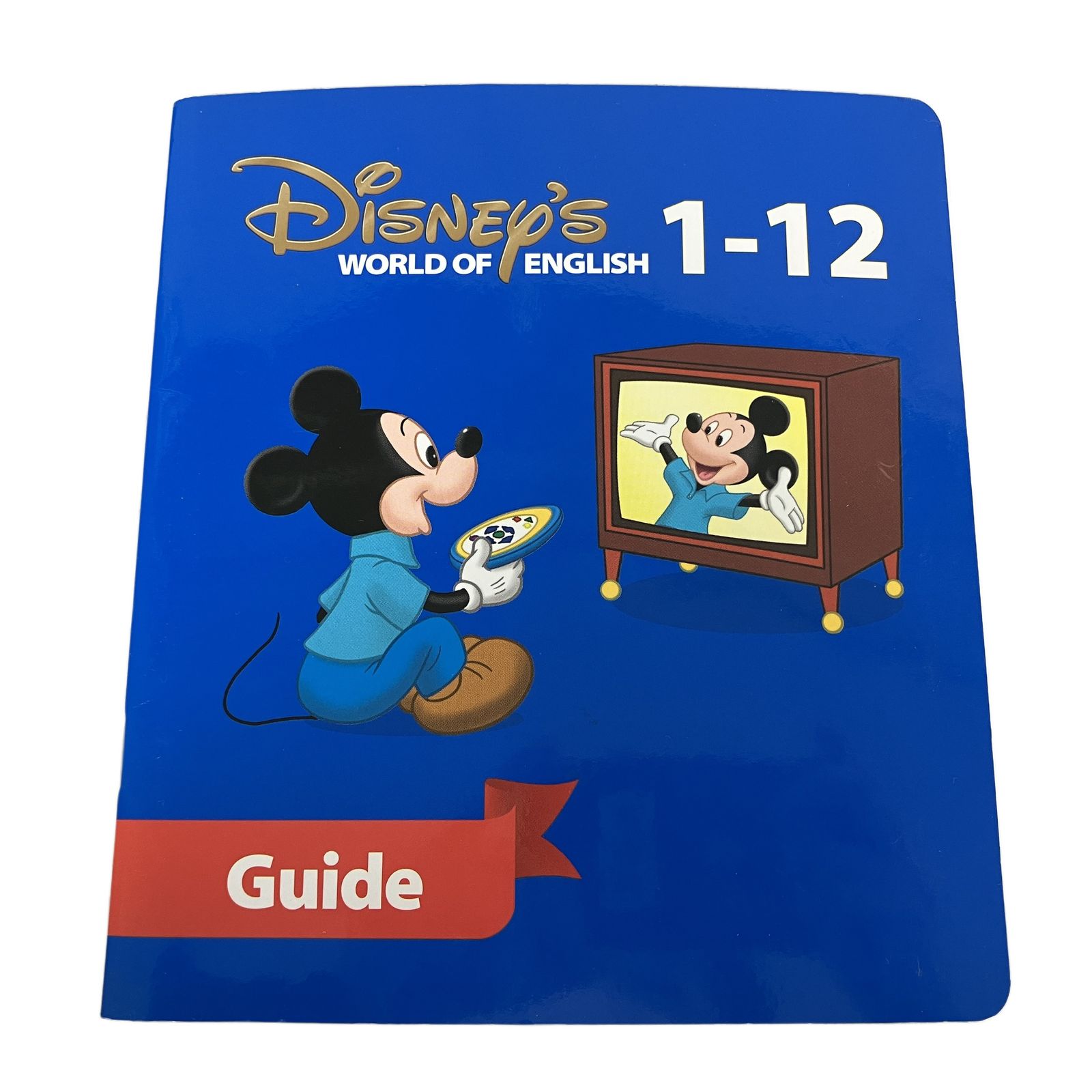 DWE ストレートプレイ 2015年頃 DVD版 ディズニー英語システム 英語