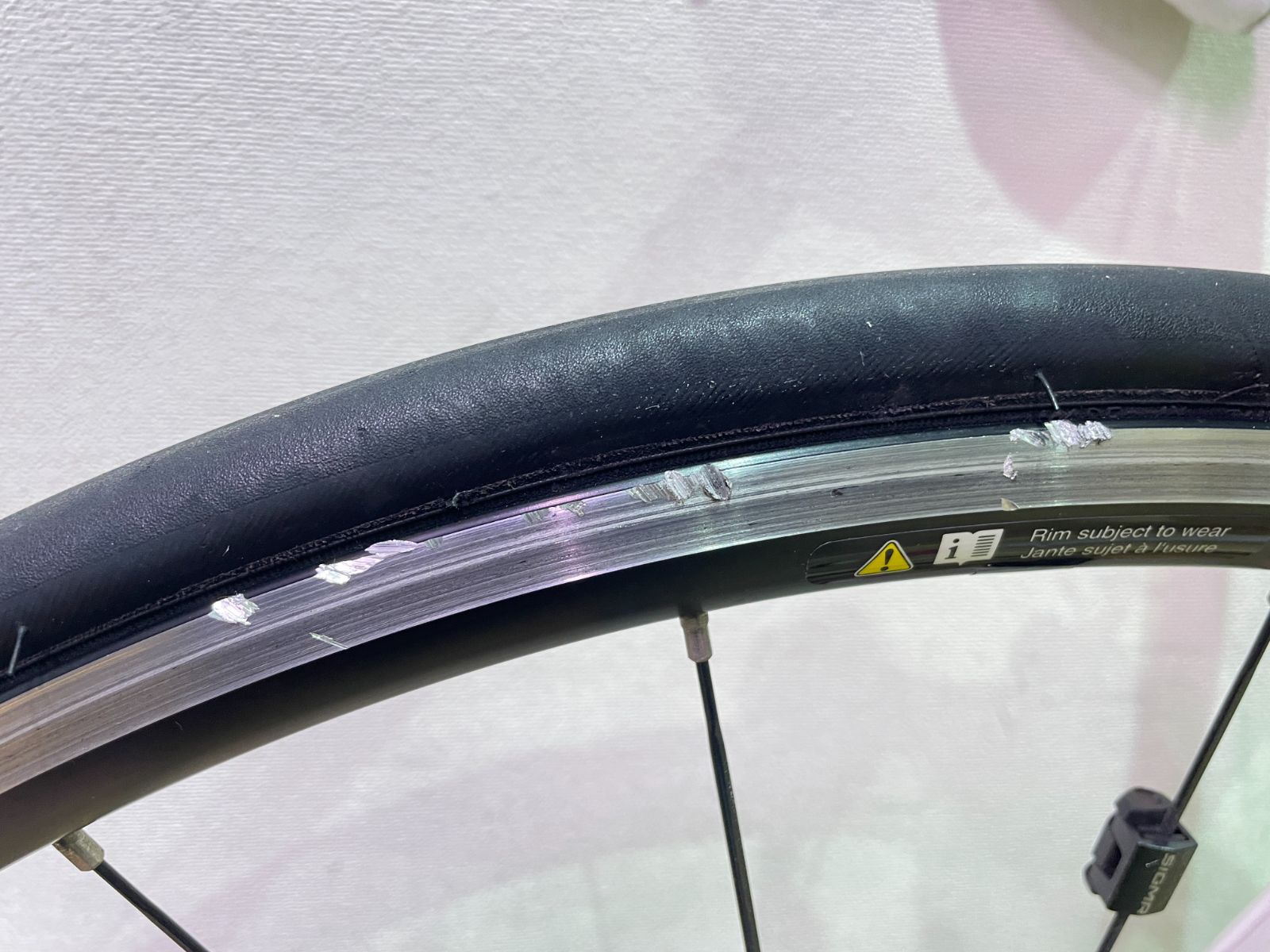 □TriForFun Japanさま専用□LOUIS GARNEAU ルイガノ LGS-WTR LG