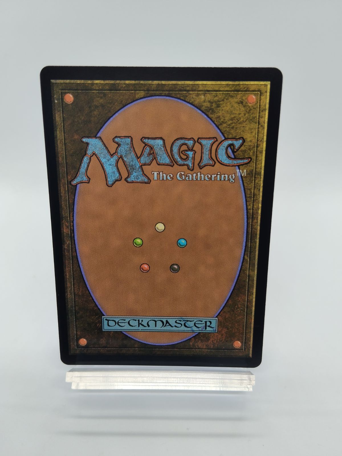 MTG】英語 呪詛の壊し屋 / Hexing Squelcher / ECL ローウィンの昏明