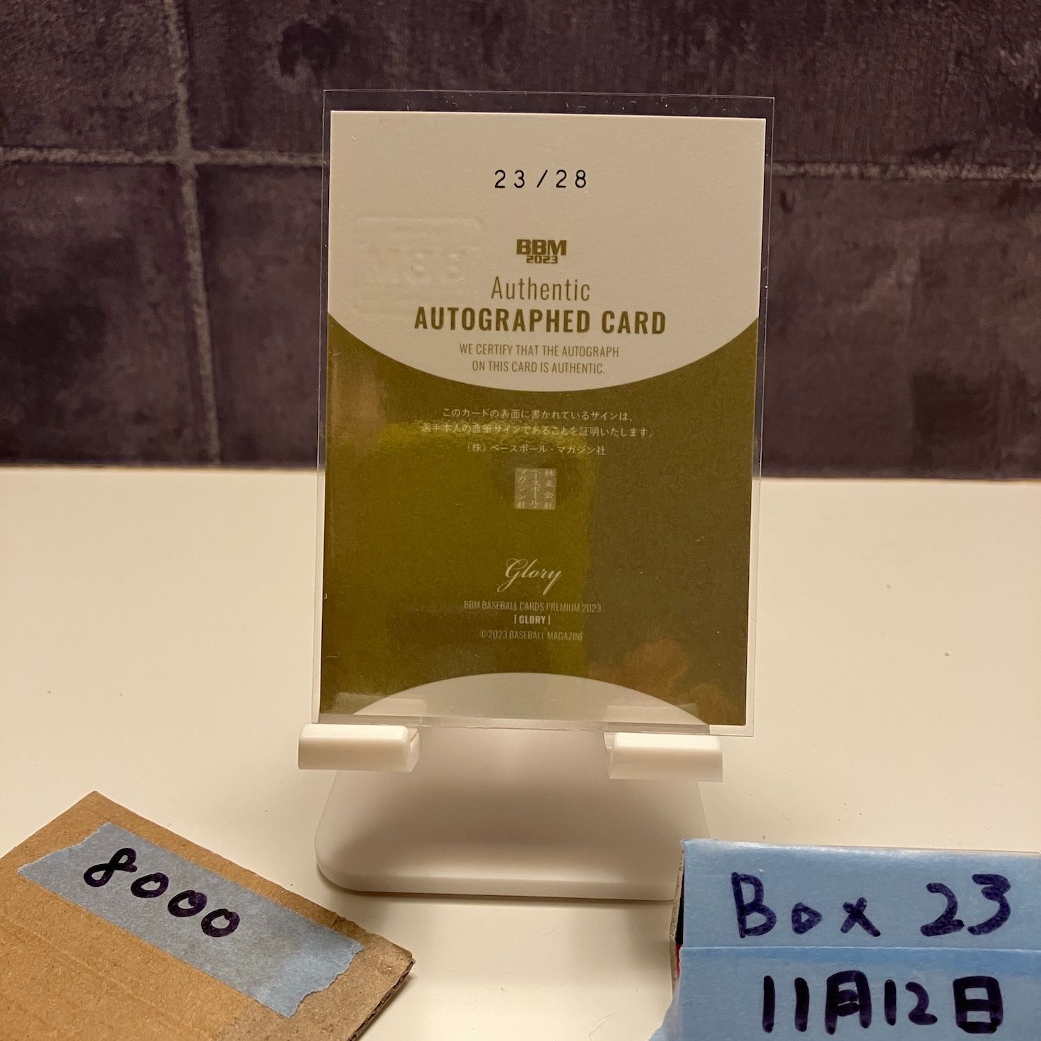 2023 BBM ブライト健太 23/28 直筆サインカード 中日ドラゴンズ Glory