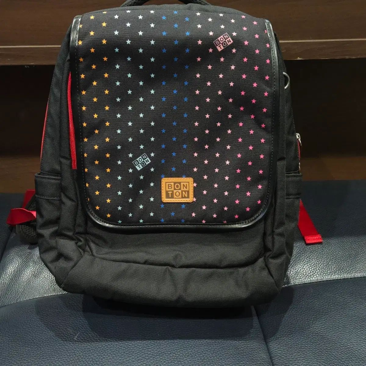 NACH 白黒 猫デザイン ピアス陶器製（猫部分）ハチワレ ナッシュ 