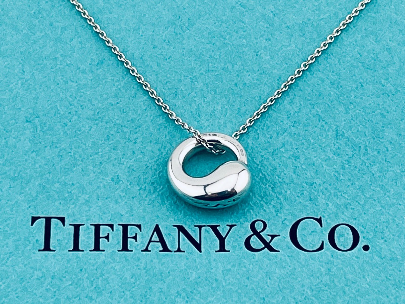 a199 美品 Tiffany&Co. ティファニー エターナルサークル ネックレス