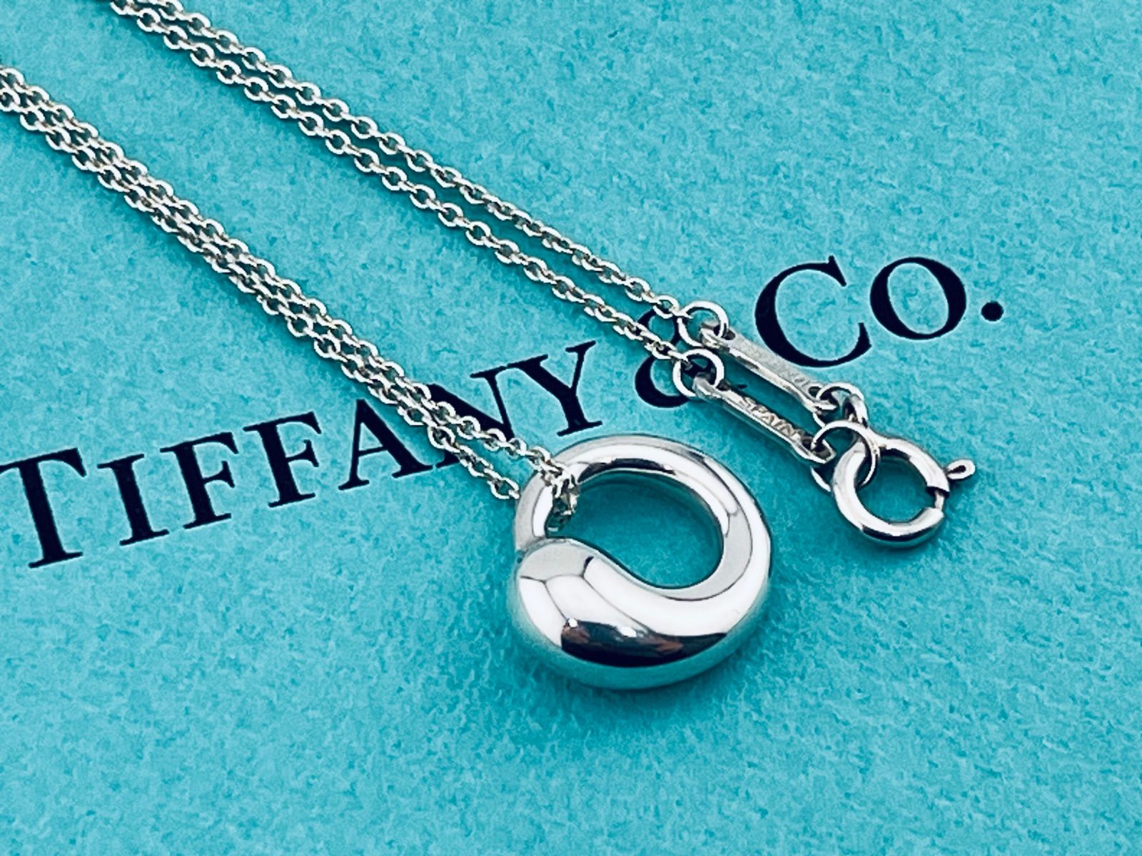a199 美品 Tiffany&Co. ティファニー エターナルサークル ネックレス